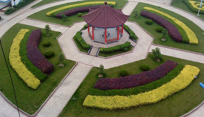 廠(chǎng)區花園